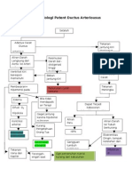 Patfis Patent Ductus Arteriosus