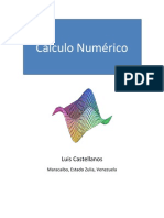 Calculo Numerico-Luis Castellanos