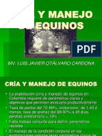 Cría y Manejo Equino