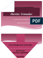 nervioscraneales-120723071044-phpapp01