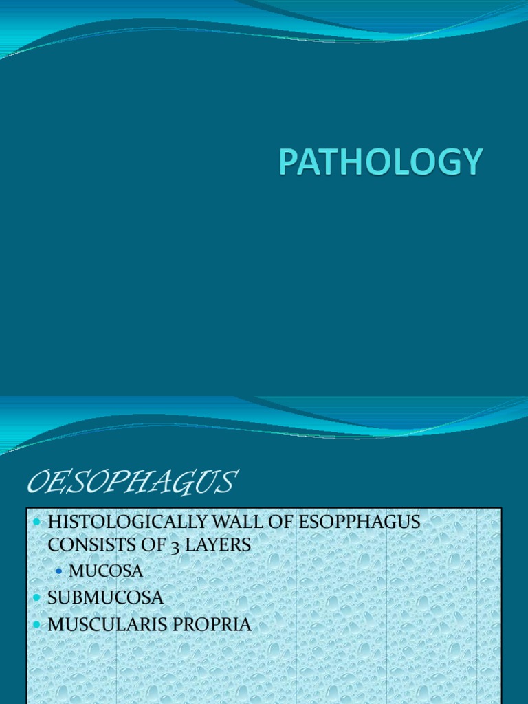 Path | PDF