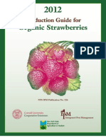 Organic Strawberries: Production Guide For