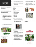 Leaflet Kolesterol