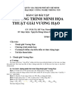 Minh Hoa Thuat Giai Vuong Hao PDF