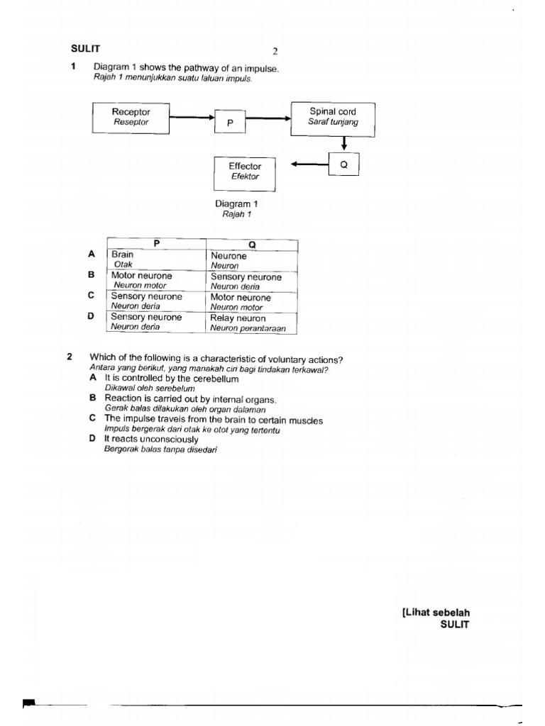 Sci Form5 (1 of 2) | PDF
