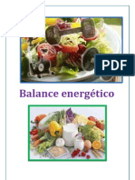 Balance Energético