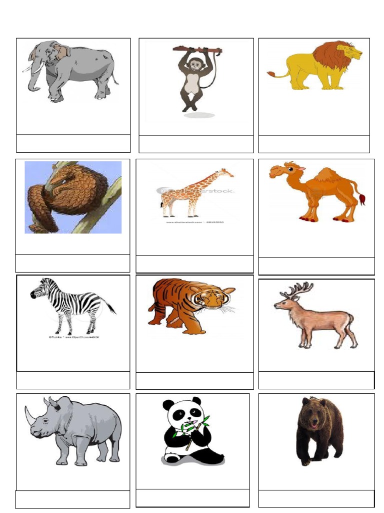 Bahan Buku Skrap Haiwan Liar Pdf