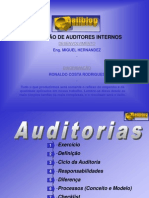 Auditor Interno