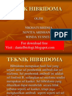 Teknik Hibridoma