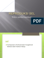 Reproduksi Sel