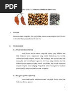 Download simplisia fructus by Mymy Thata Mietha SN116898343 doc pdf