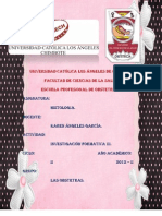 Madeley Pareja Investigacion Formativa III Unidad