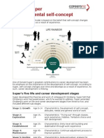 Career Theory Model Super