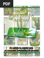 O_que_você_precisa_saber_sobre_a_babosa