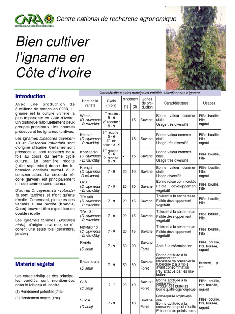 Cultiver Igname | PDF
