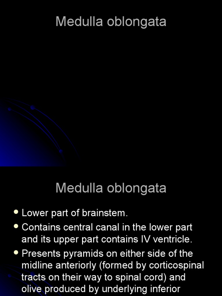Medulla function image