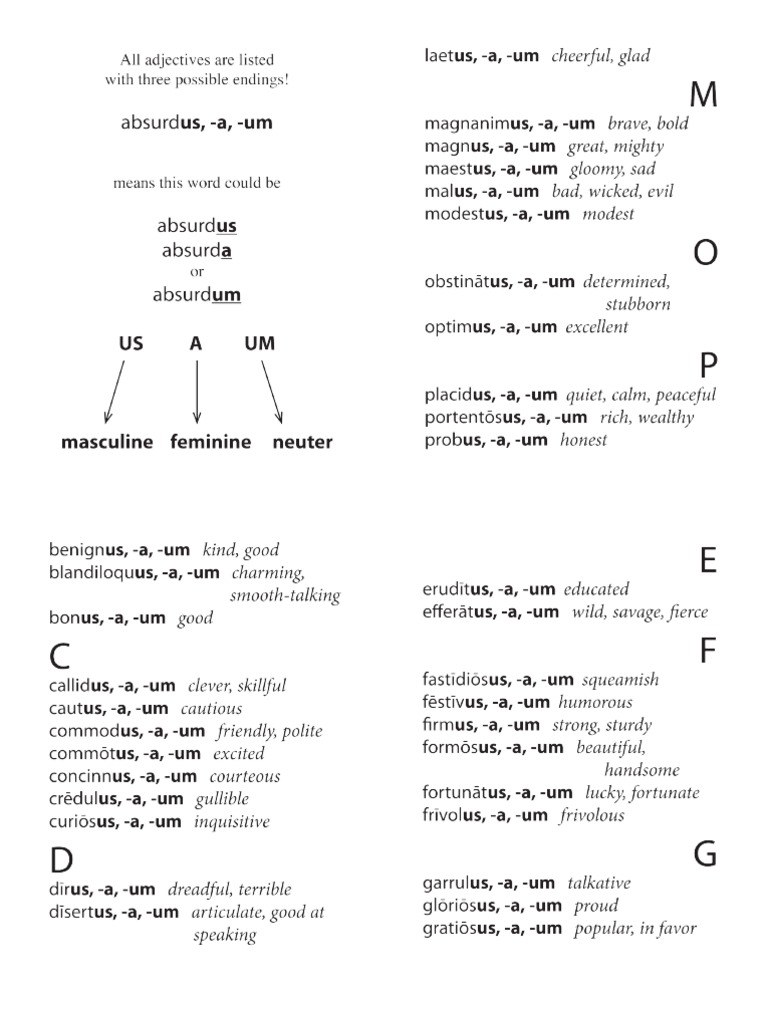 Latin Adjective Dictionary (Latin To English) PDF