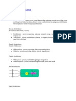 Fisiologi Metabolisme