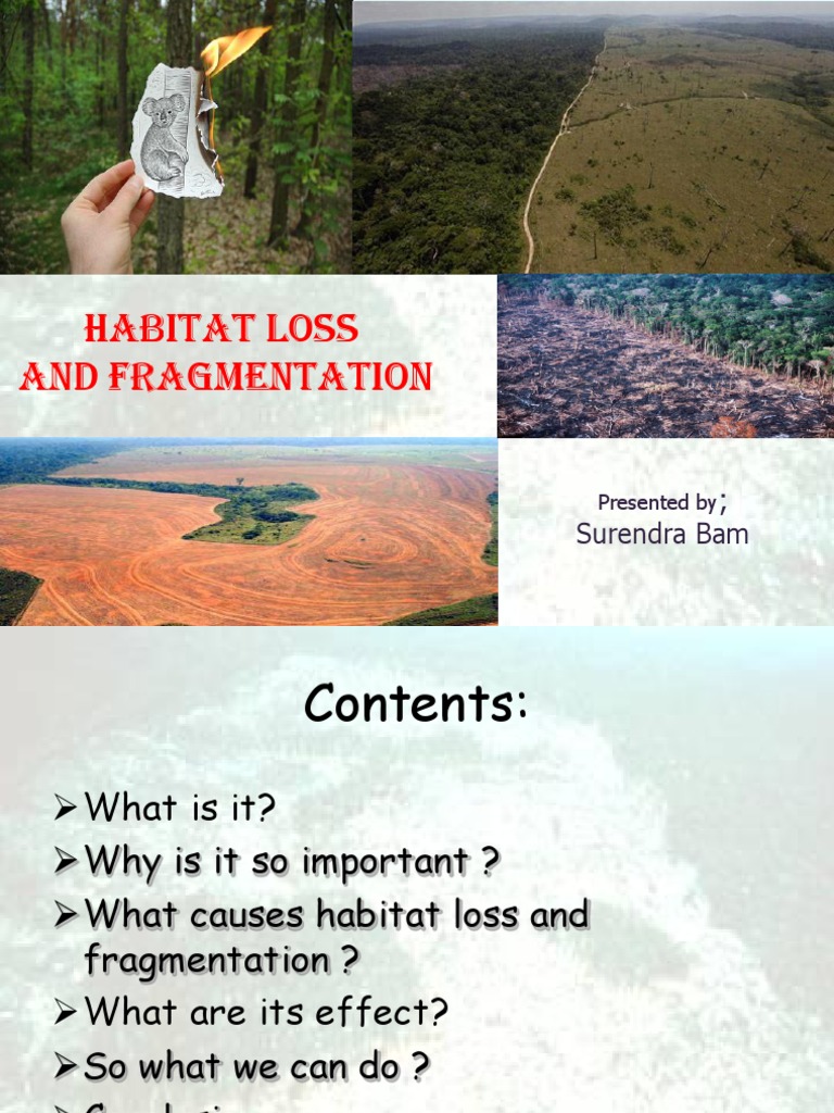 Habitat Loss and Fragmentation Habitat Destruction Habitat