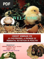 Download In Ovo Feeding in Poultry  by sarang SN117004210 doc pdf