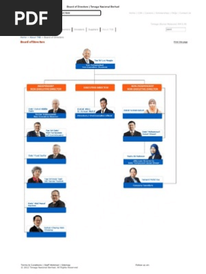 Tnb Board Of Directors Pdf