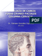 Osteología y Artrología Del Cráneo y de La Cara.