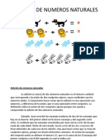 La Adicion de Numeros Naturales