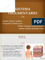 sistemategumentario-111112075625-phpapp01