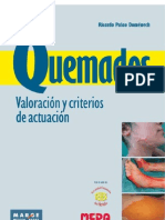 Quemados Valoración y criterios de actuación.pdf