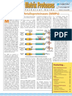 Download matrixmetalloproteinases2pdf by drmacrohard SN117087233 doc pdf