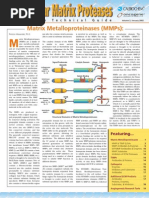 Download matrixmetalloproteinases2pdf by drmacrohard SN117087233 doc pdf