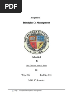 Download Coca-Cola BCG Matrix by Wajid Ali SN117088138 doc pdf