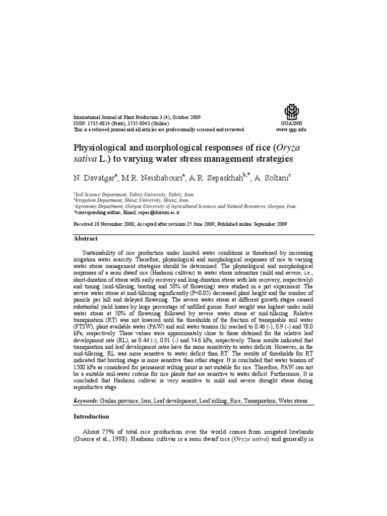 Rice Response or Yz A | PDF | Soil | Rice