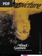 Download The Big Picture Issue 18 by Intellect Books SN117103156 doc pdf