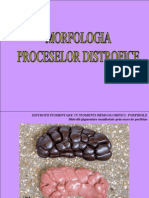 Morfologia Proceselor Distrofice