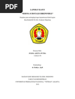 Download REFERAT AMPUTASI by sukmaadityaputra SN117107535 doc pdf