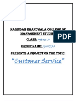 Customer Service Project Title