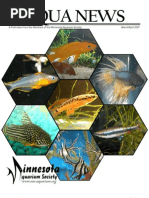 Download AquaNews Mar  Apr 2007 by Minnesota Aquarium Society SN11715812 doc pdf