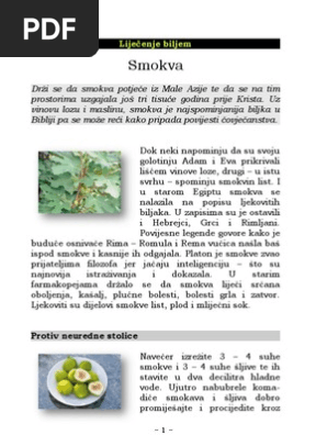 List magazin smokvin