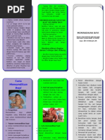 Download LEAFLET CARA MEMANDIKAN BAYI by Meggy Croot Romero SN117191155 doc pdf