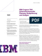 IBM Cognos TM1 Unternehmensweite Planung, Budgetierung und Analyse