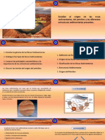 Estructuras Del Subsuelo, Origen de Las Rocas Sedimentarias Origen Del Petroleo
