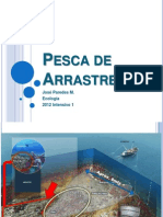 Pesca de Arrastre