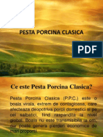 Scurta Prezentare Ppt. Pesta Porcina Clasica