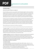 Los armónicos en la guitarra _ La guitarra y los instrumentos de cuerda pulsada