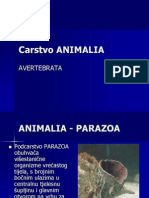 J Animalia1