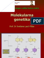 Molekularna Genetika