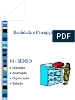 Palestra - 5 Sensos-Sérgio