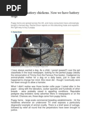 Puppy Farming