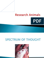 Research Animals